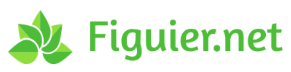figuier