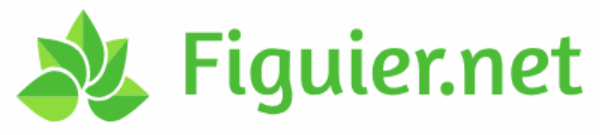 figuier